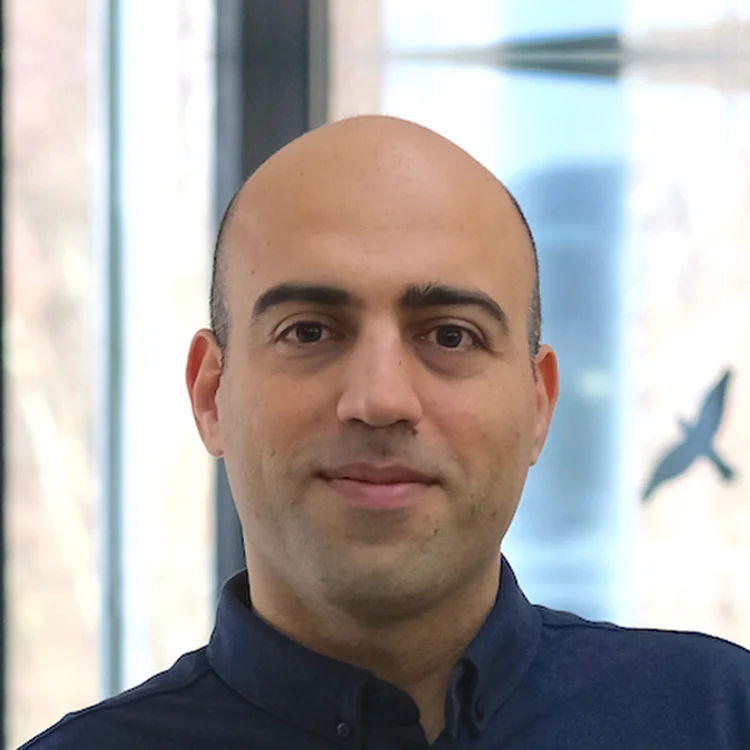 Vahid Babaei